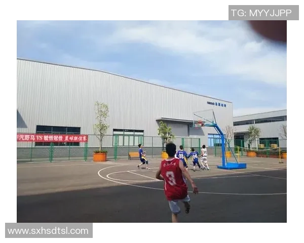 成都羽毛球队与上海羽毛球队赛后复盘力量对决的深度分析与启示